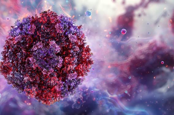 Erythème infectieux : l’infection par le Parvovirus B19 à la loupe Erythème infectieux : l’infection par le Parvovirus B19 à la loupe