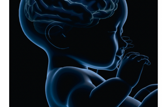 Voix et musique en néonatologie : le prématuré a-t-il un cerveau compétent ? Voix et musique en néonatologie : le prématuré a-t-il un cerveau compétent ?