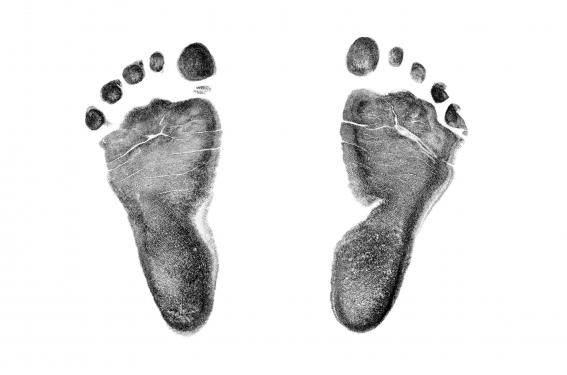 Mortalité infantile : une hausse bien mystérieuse Mortalité infantile : une hausse bien mystérieuse