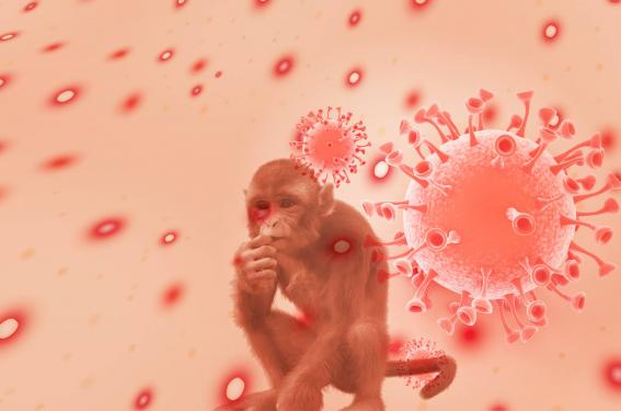 Que savons-nous des risques liés à la variole du singe pendant la grossesse ? Que savons-nous des risques liés à la variole du singe pendant la grossesse ?